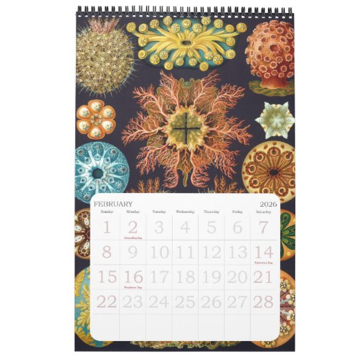  Ernst Haeckel, Biology, Botany, Science Ca Kalender (Feb 2026)