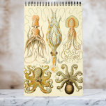 Ernst Haeckel, Biology, Botany, Science Ca Kalender<br><div class="desc">Rooster van twaalf maanden met illustraties van Ernst Haeckel. Geweldig geschenk voor wetenschapsnerds en geeks! Van mariene biologie tot botany en verder! Omvat natuur-scènes met dieren, griezelige spinnen, tropische planten, bloemen en orchideeën uit de regenwouden, aquatisch leven, anemonen van zeeen, slikken van zee, kwallen, schildpadden, schildpadden, lizards, kikkers, kruipen, octopi,...</div>