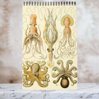 Ernst Haeckel, Biology, Botany, Science Ca Kalender