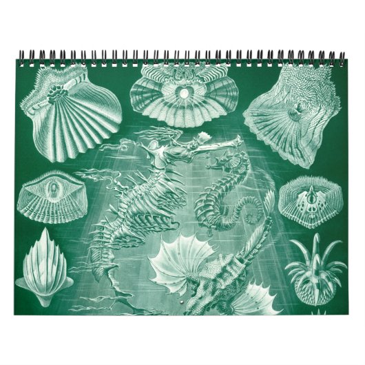 Ernst Haeckel, Biology, Botany, Science Kalender (Hoes)