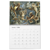  Ernst Haeckel, Biology, Botany, Science Kalender (Jan 2026)