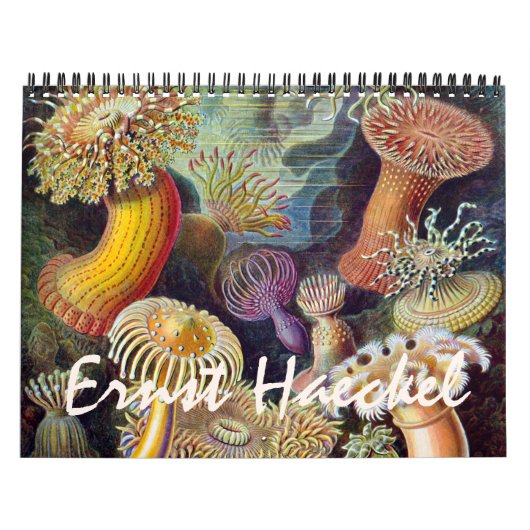  Ernst Haeckel, Biology, Botany, Science Kalender (Hoes)