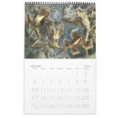 Ernst Haeckel, Biology, Botany, Science Kalender (Jan 2016)