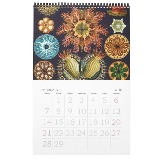  Ernst Haeckel, Biology, Botany, Science Kalender (Feb 2016)