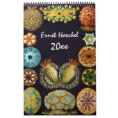 Ernst Haeckel, Biology, Botany, Science Kalender (Hoes)