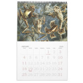  Ernst Haeckel, Biology, Botany, Science Kalender (Jan 2026)