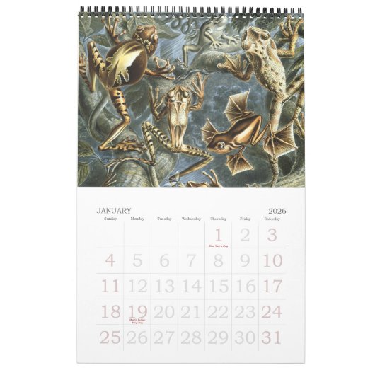 Ernst Haeckel, Biology, Botany, Science Kalender (Jan 2026)