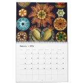 Ernst Haeckel, Biology, Botany, Science Kalender (Feb 2026)