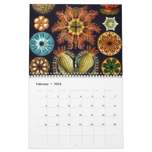  Ernst Haeckel, Biology, Botany, Science Kalender (Feb 2026)