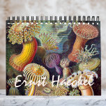 Ernst Haeckel, Biology, Botany, Science Kalender<br><div class="desc">Rooster van twaalf maanden met illustraties van Ernst Haeckel. Geweldig geschenk voor wetenschapsnerds en geeks! Van mariene biologie tot botany en verder! Omvat natuur-scènes met dieren, griezelige spinnen, tropische planten, bloemen en orchideeën uit de regenwouden, aquatisch leven, anemonen van zeeen, slikken van zee, kwallen, schildpadden, schildpadden, lizards, kikkers, kruipen, octopi,...</div>