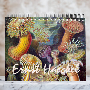  Ernst Haeckel, Biology, Botany, Science Kalender