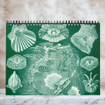 Ernst Haeckel, Biology, Botany, Science Kalender<br><div class="desc">Rooster van twaalf maanden met illustraties van Ernst Haeckel. Geweldig geschenk voor wetenschapsnerds en geeks! Van mariene biologie tot botany en verder! Omvat natuur-scènes met dieren, griezelige spinnen, tropische planten, bloemen en orchideeën uit de regenwouden, aquatisch leven, anemonen van zeeen, slikken van zee, kwallen, schildpadden, schildpadden, lizards, kikkers, kruipen, octopi,...</div>