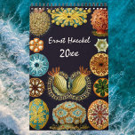 Ernst Haeckel, Biology, Botany, Science Kalender<br><div class="desc">Rooster van twaalf maanden met illustraties van Ernst Haeckel. Geweldig geschenk voor wetenschapsnerds en geeks! Van mariene biologie tot botany en verder! Omvat natuur-scènes met dieren, griezelige spinnen, tropische planten, bloemen en orchideeën uit de regenwouden, aquatisch leven, anemonen van zeeen, slikken van zee, kwallen, schildpadden, schildpadden, lizards, kikkers, kruipen, octopi,...</div>