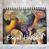 Ernst Haeckel, Biology, Botany, Science Kalender