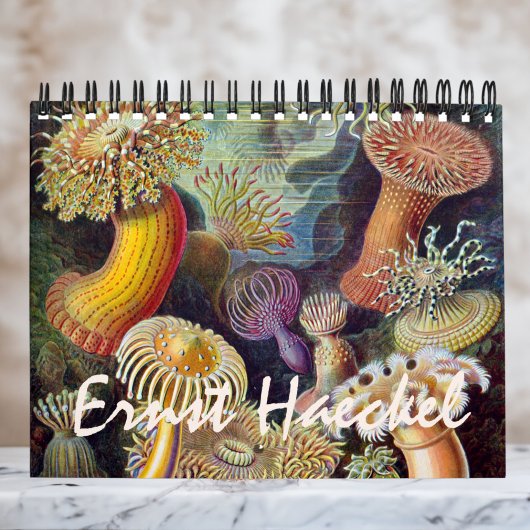 Ernst Haeckel, Biology, Botany, Science Kalender