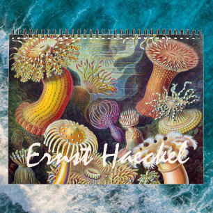  Ernst Haeckel, Biology, Botany, Science Kalender