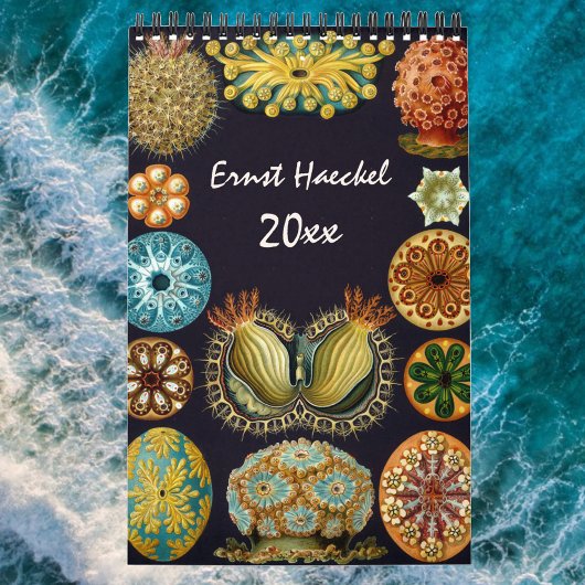  Ernst Haeckel, Biology, Botany, Science Kalender