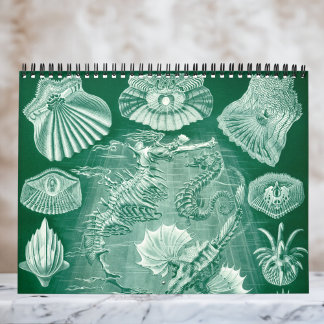  Ernst Haeckel, Biology, Botany, Science Kalender