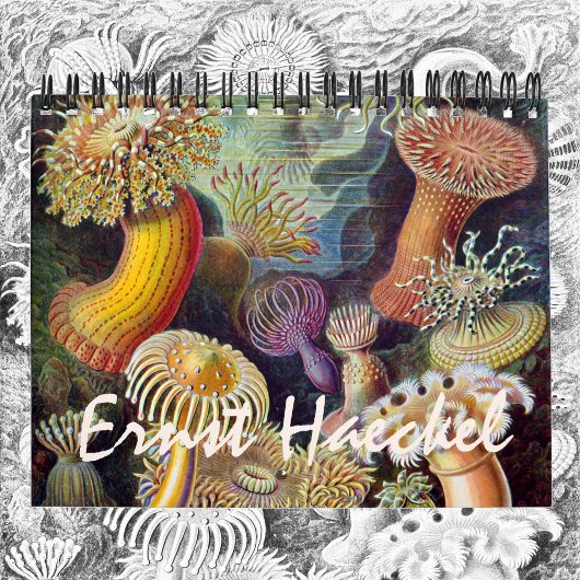  Ernst Haeckel, Biology, Botany, Science Kalender