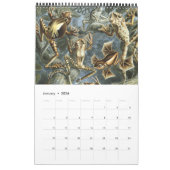  Ernst Haeckel, Biology, Botany, Science Kalender (Jan 2026)