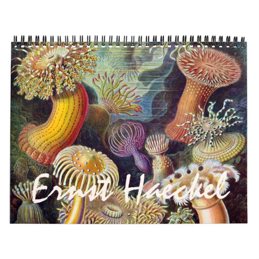  Ernst Haeckel, Biology, Botany, Science Kalender (Hoes)