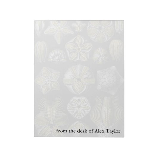 Ernst Haeckel Blastoidea Notitieblok (Linkerzijde)