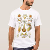 Ernst Haeckel - Bryozoa Tshirt (Voorkant)