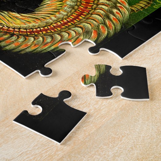 Ernst Haeckel Chaetopoda Legpuzzel (Zijkant)