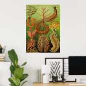 Ernst Haeckel - Chaetopoda Poster (Thuiskantoor)