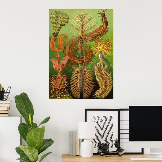 Ernst Haeckel - Chaetopoda Poster (Thuiskantoor)
