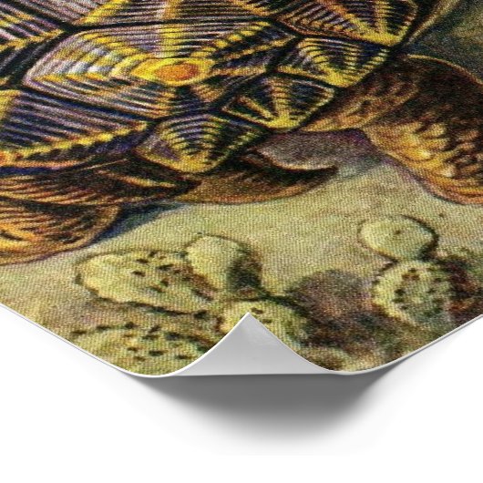 Ernst Haeckel - Chelonia Poster (Hoek)