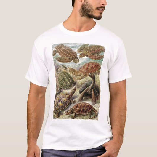 Ernst Haeckel - Chelonia T-shirt (Voorkant)
