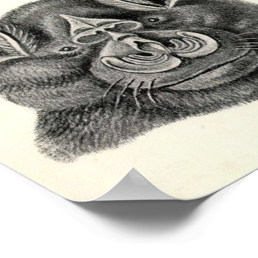 Ernst Haeckel - Chiroptera Bats Poster (Hoek)