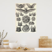Ernst Haeckel - Chiroptera Bats Poster (Keuken)