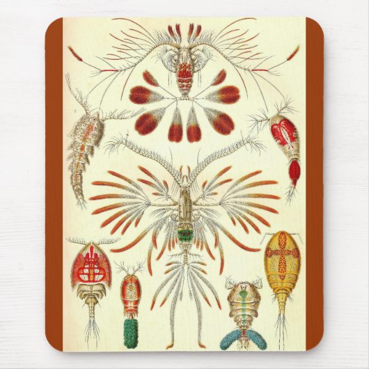Ernst Haeckel - Copepoda Muismat (Voorkant)