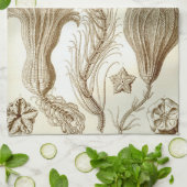 Ernst Haeckel Crinoidea veren sterren Theedoek (Gevouwen)