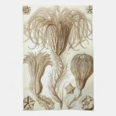 Ernst Haeckel Crinoidea veren sterren Theedoek (Verticaal)