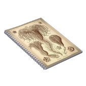 Ernst Haeckel- Crinoids Notitieboek (Rechterzijde)