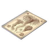 Ernst Haeckel- Crinoids Notitieboek (Linkerzijde)