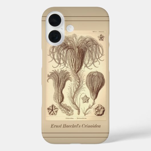 Ernst Haeckel Crinoids- Volledige pagina Case-Mate iPhone Case (Achterkant)