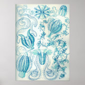 Ernst Haeckel Ctenophorae Jellyfish Poster (Voorkant)