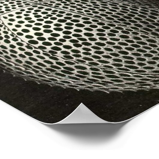 Ernst Haeckel - Cyrtoidea - Poster (Hoek)