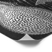 Ernst Haeckel Cyrtoidea Poster (Hoek)