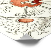 Ernst Haeckel - Desmidiea Detail Portfolio Poster (Hoek)