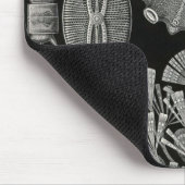 Ernst Haeckel - Diatomea2 Detail1 Muismat (Hoek)