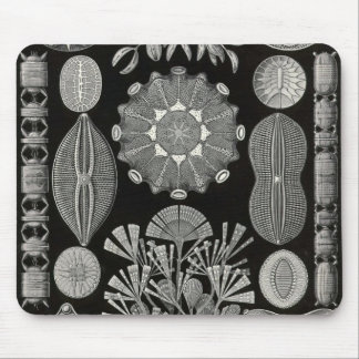 Ernst Haeckel - Diatomea2 Detail1 Muismat
