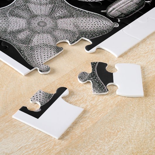 Ernst Haeckel Diatomea Legpuzzel (Zijkant)