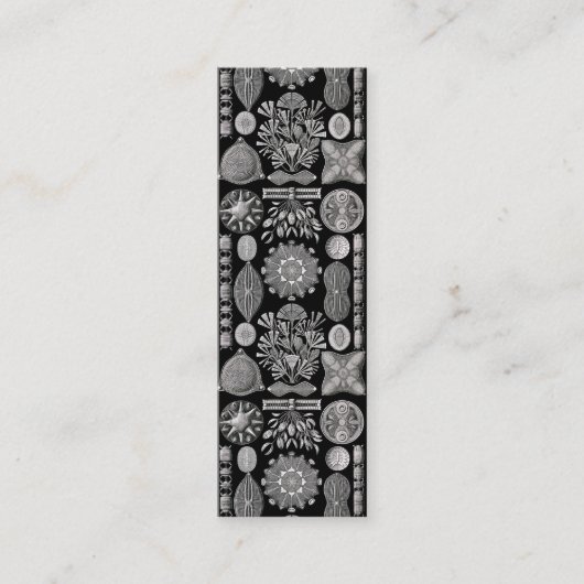 Ernst Haeckel Diatomea Mini Visitekaartje (Voorkant)