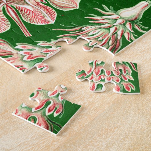 Ernst Haeckel Discomedusae (Aurelia) Legpuzzel (Zijkant)