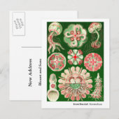 Ernst Haeckel Discomedusae (Aurelia) Nieuw adres Aankondigingskaart (Voorkant / Achterkant)